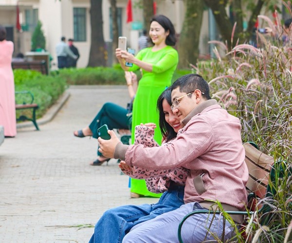 Hà Nội: Cỏ lau tím nở rộ bên hồ Hoàn Kiếm - Anh 4