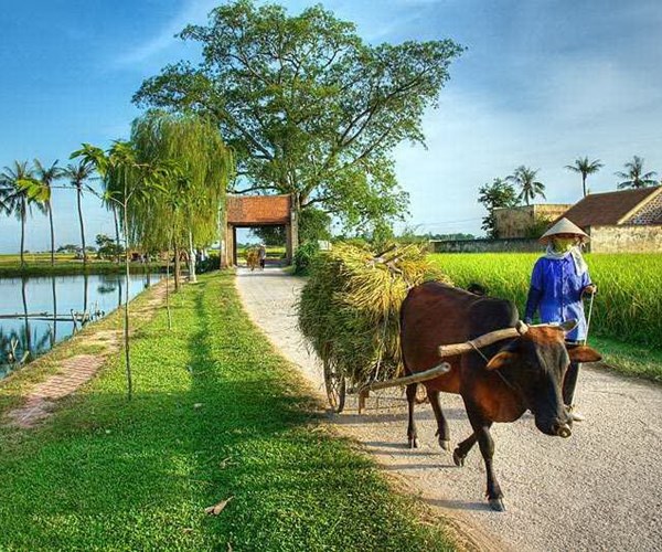 Văn học một thời để nhớ: Bây giờ ai viết về nông thôn? - Anh 1
