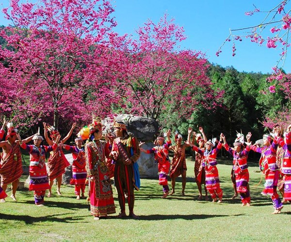 Mê mẩn ngắm hoa anh đào ở Đài Loan - Anh 1