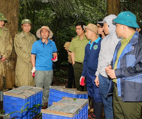 Hành trình về với tự nhiên của gần 100 cá thể động vật hoang dã - Anh 11