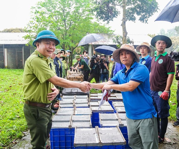 Hành trình về với tự nhiên của gần 100 cá thể động vật hoang dã - Anh 4