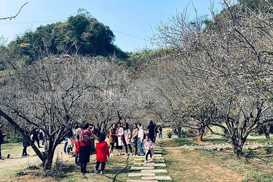 Sơn La đón 297.000 lượt khách du lịch trong 3 tháng đầu năm - Anh 2