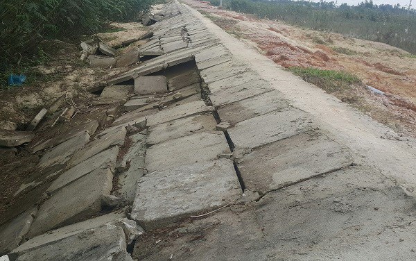 Lãng phí gần chục tỉ đồng từ dự án nuôi tôm, ai chịu trách nhiệm? - Anh 1