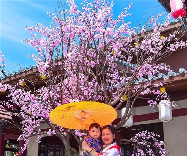 Ưu đãi tới 40% giá vé cho du khách vui chơi tại Sun World Danang Wonders - Anh 2