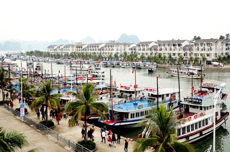 Quảng Ninh: Kịp thời xử lý vi phạm trong hoạt động du lịch - Anh 1