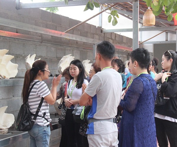 Tại Khánh Hòa: Biến tướng lao động “chui” người Trung Quốc - Anh 1