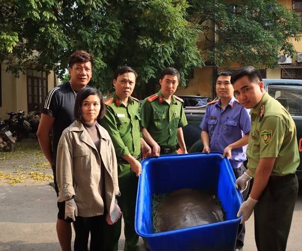 Vườn quốc gia Cúc Phương cứu hộ con giải lớn nhất từ trước tới nay - Anh 1