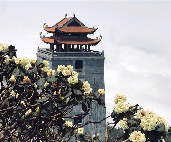 Lào Cai: Nhiều chương trình 