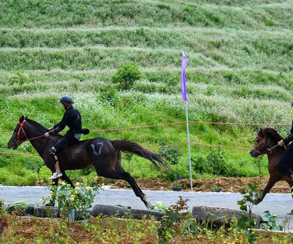 Lào Cai: Nhiều chương trình 