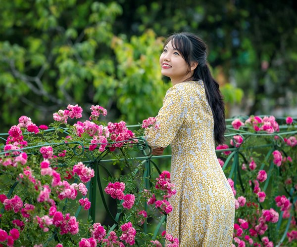 Lào Cai: Nhiều chương trình 