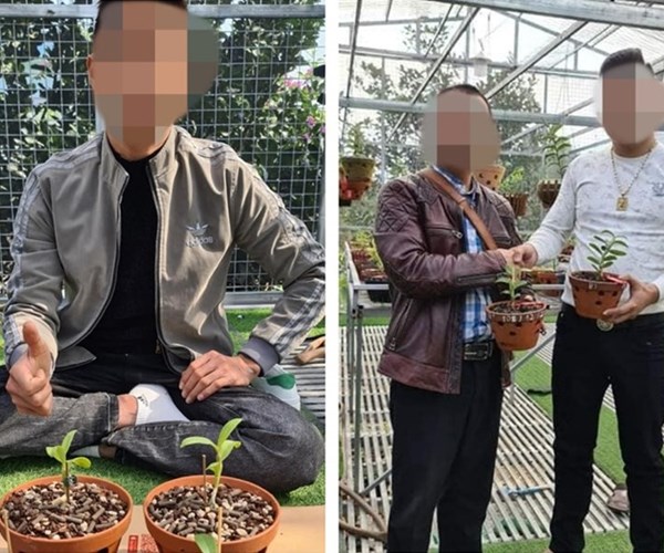 Mua phải lan đột biến giả, một người trình báo bị lừa gần 10 tỉ đồng - Anh 1