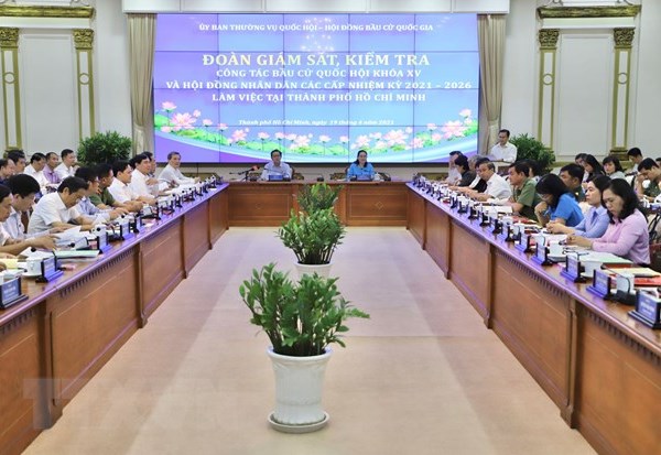 TP.HCM: Bảo đảm bầu cử diễn ra dân chủ, bình đẳng - Anh 1