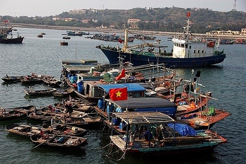 Huyện đảo Bạch Long Vĩ sẽ bầu cử sớm một ngày - Anh 1