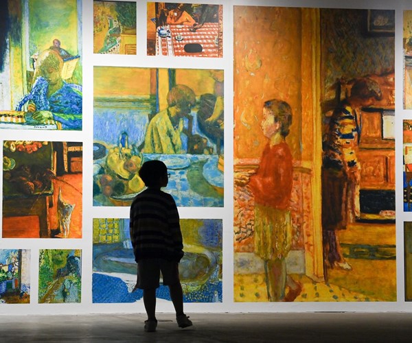 “Ngoai” va “trong” o trien lam cua Claude Monet va Pierre Bonnaer tai VCCA - Anh 5