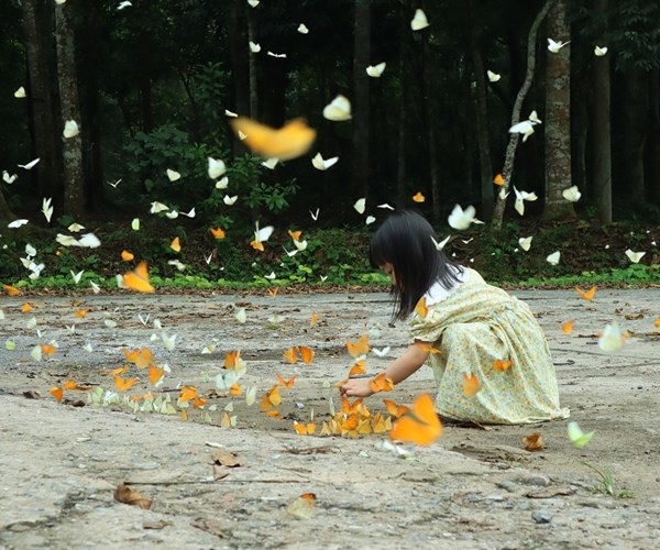 Cúc Phương – “Độ rừng vào hội” - Anh 4