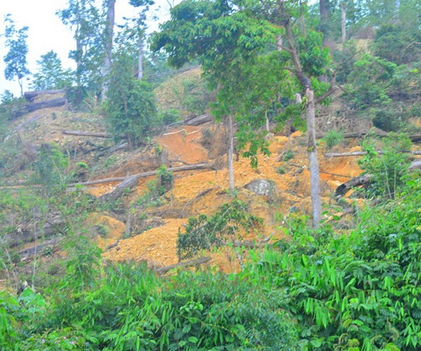 Viết tiếp bài: 