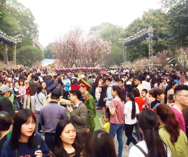 Già trẻ, gái trai… say đắm với Lễ hội giao lưu văn hóa Nhật Bản - Anh 11