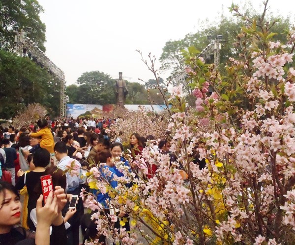 Già trẻ, gái trai… say đắm với Lễ hội giao lưu văn hóa Nhật Bản - Anh 3