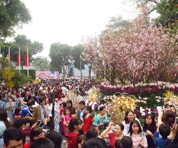 Già trẻ, gái trai… say đắm với Lễ hội giao lưu văn hóa Nhật Bản - Anh 4