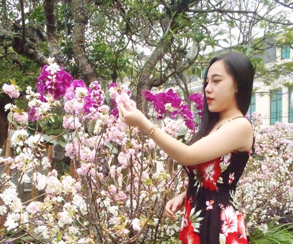 Già trẻ, gái trai… say đắm với Lễ hội giao lưu văn hóa Nhật Bản - Anh 5