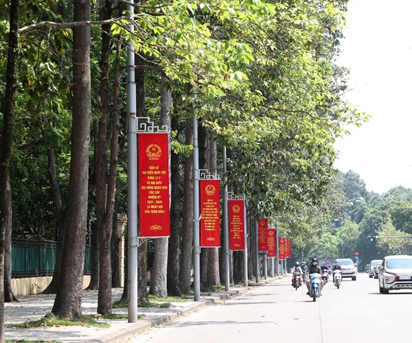 Ha Noi ruc ro co hoa chao don Ngay hoi non song - Anh 11