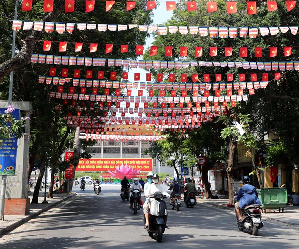 Ha Noi ruc ro co hoa chao don Ngay hoi non song - Anh 9