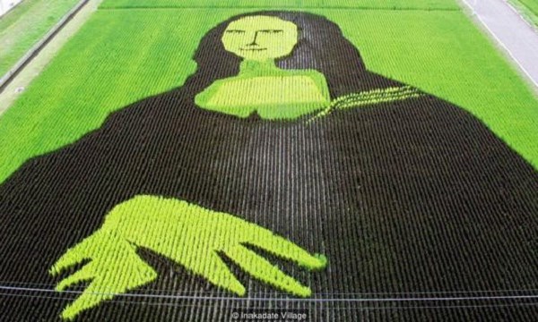 Những ngôi làng giàu lên nhờ biến lúa, tường nhà thành... tranh - Anh 1