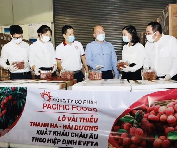 Vải thiều chinh phục thị trường EU, mở rộng thương hiệu nông sản Việt - Anh 1
