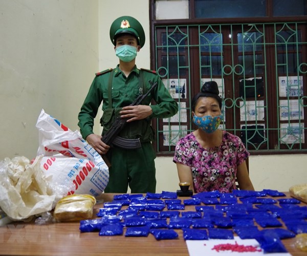 Bắt giữ đối tượng nữ mua bán trái phép 12.000 viên ma tuý tổng hợp - Anh 1