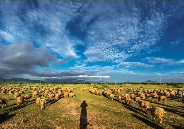 Ninh Thuận: Tạo mọi điều kiện thuận lợi để thu hút đầu tư vào du lịch - Anh 2