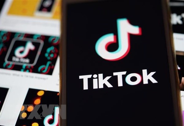 TikTok gỡ hàng triệu tài khoản nghi không trung thực về độ tuổi - Anh 1