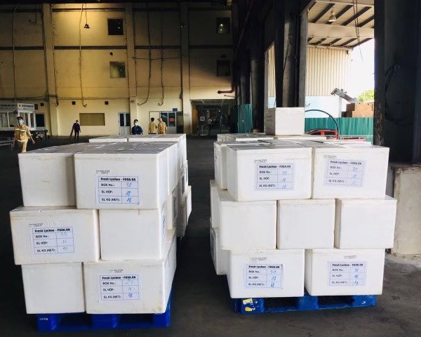 Vải thiều Việt Nam đến với người tiêu dùng Vương quốc Anh - Anh 2