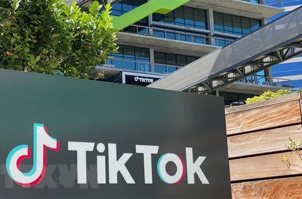 TikTok thử nghiệm cho phép người dùng nộp hồ sơ xin việc bằng video - Anh 1