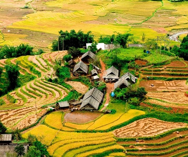 Lào Cai: Tạm dừng thu phí tham quan 3 điểm du lịch tại Sa Pa - Anh 1