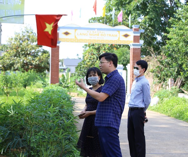 Cây xóa đói, giảm nghèo của đồng bào dân tộc Mường ở Ba Vì - Anh 3