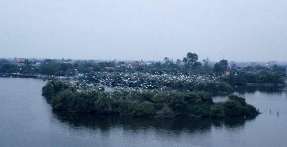 Hải Dương: Phát động cuộc thi viết về du lịch Hải Dương - Anh 1