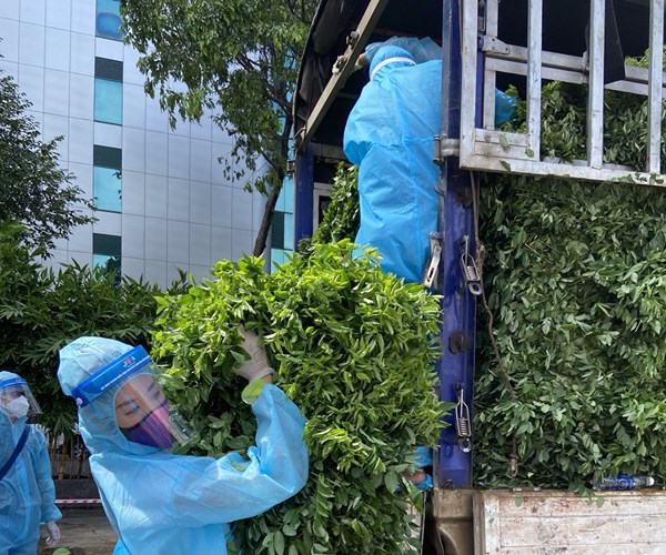 Hoa hậu Hoàn vũ: Những ‘Chuyến xe thực phẩm 0 đồng’ ấm áp nghĩa tình - Anh 2