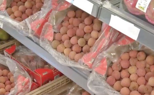 Lần đầu tiên vải thiều Việt Nam theo đường biển sang châu Âu - Anh 1