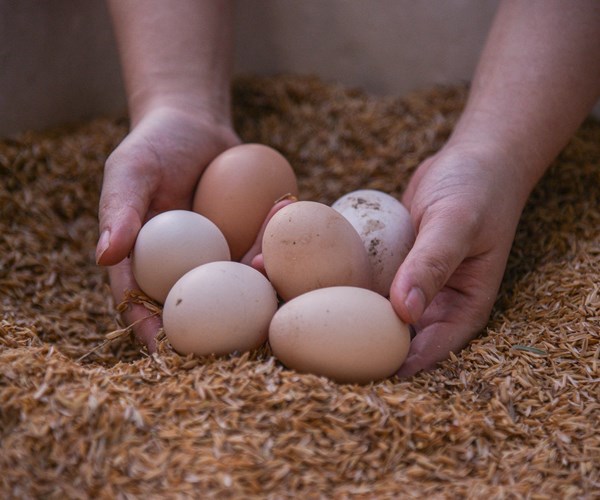 Ấm áp chương trình “đi chợ hộ” cư dân - Anh 7