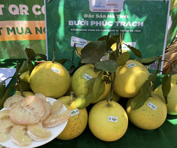 Đặc sản bưởi Phúc Trạch Hương Khê lên sàn thương mại điện tử - Anh 1