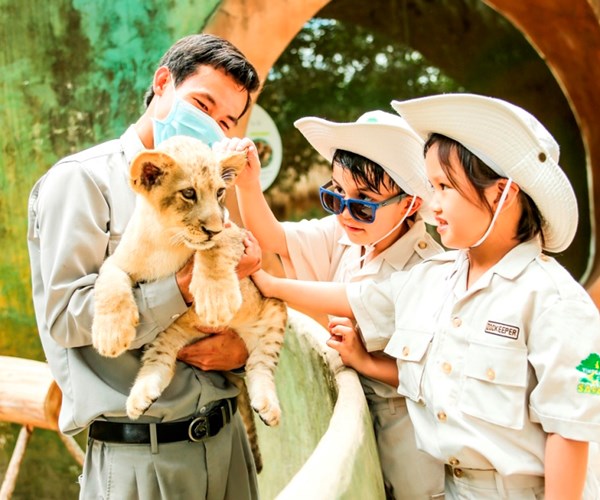 24 giờ của “bố hổ”, “mẹ sư tử” ngoài đời tại Vinpearl Safari - Anh 5