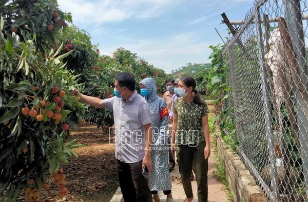 Bắc Giang: Tổ Covid cộng đồng – Mô hình chống dịch tại các khu dân cư - Anh 2