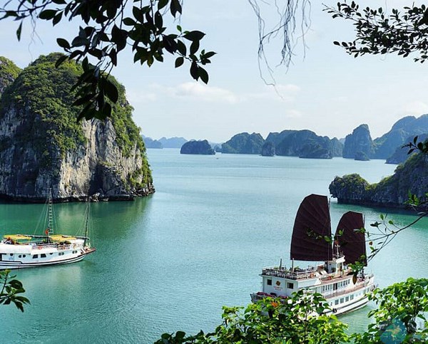 Quảng Ninh phát động sáng tác biểu trưng (logo) Sở Văn hóa và Thể thao - Anh 1