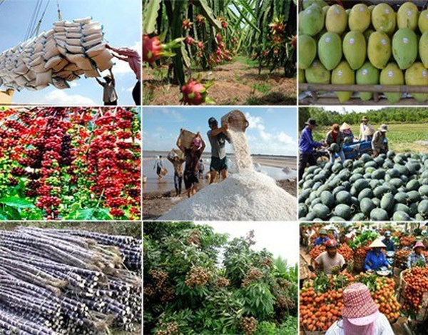 Thủ tướng chỉ đạo thúc đẩy sản xuất, lưu thông, xuất khẩu nông sản - Anh 1