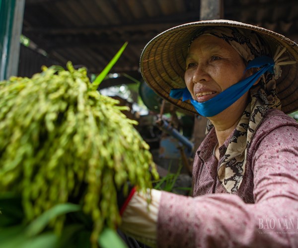 Cận cảnh quy trình làm ra thứ quà đến cùng mùa thu - Anh 3