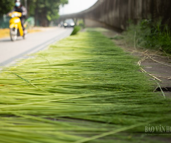 Cận cảnh quy trình làm ra thứ quà đến cùng mùa thu - Anh 16