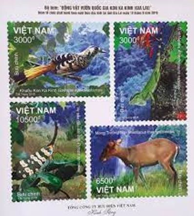 Kỳ thú Kon Ka Kinh - “Nóc nhà của Gia Lai” - Anh 1