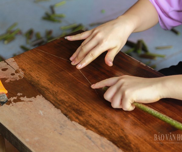 Tinh tế lụa tơ sen - Anh 4