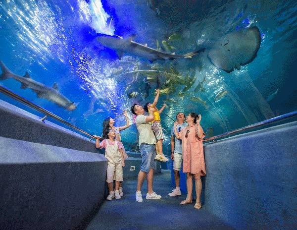 “Cánh cổng thần kỳ” bước vào thế giới đại dương kỳ bí - Anh 1