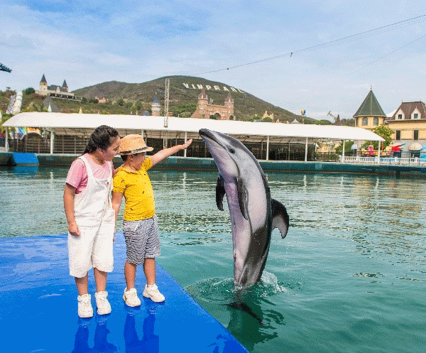 “Cánh cổng thần kỳ” bước vào thế giới đại dương kỳ bí - Anh 5